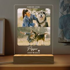Custom Pet Photo LED Light Souvenir